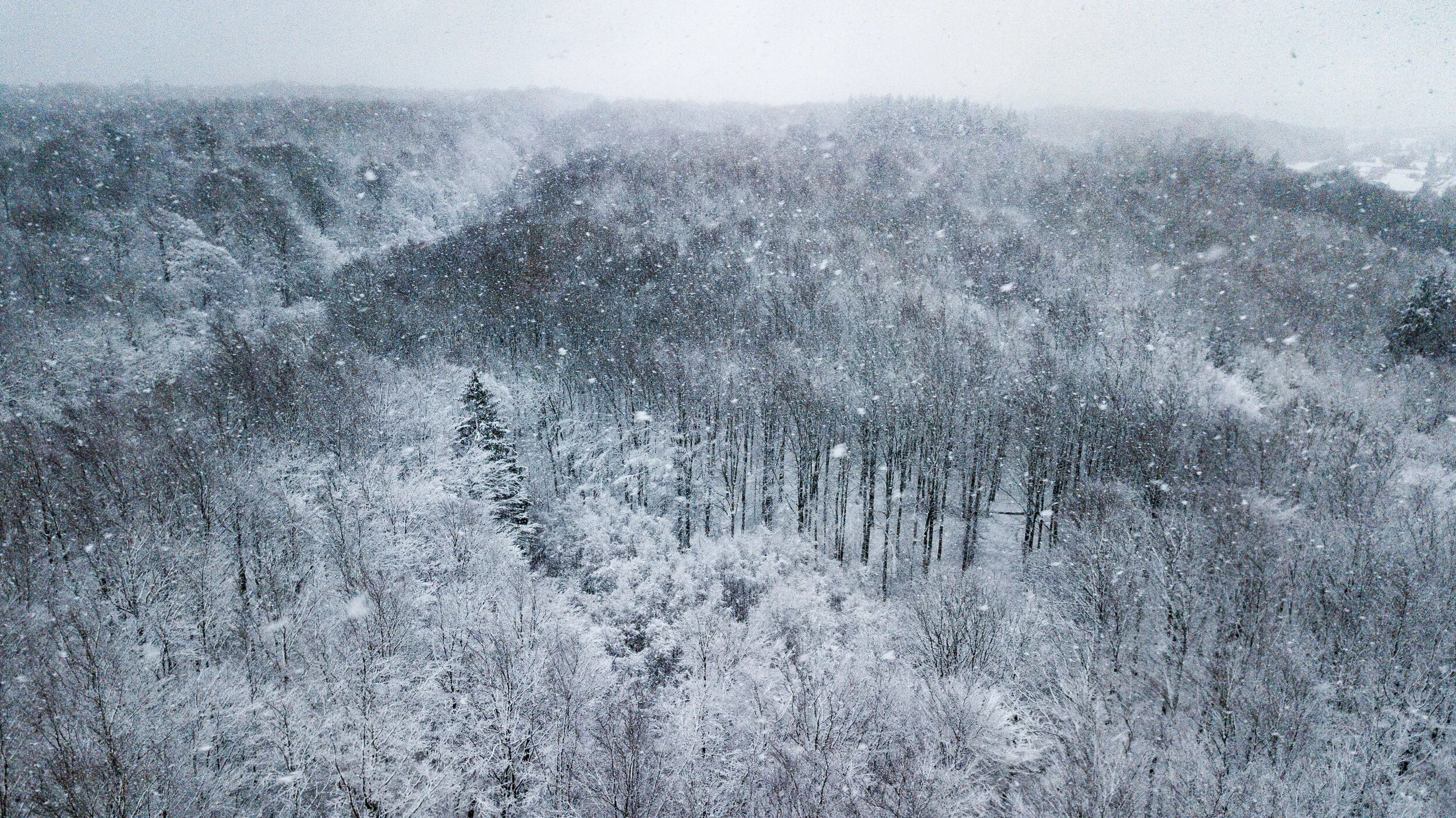 The great north