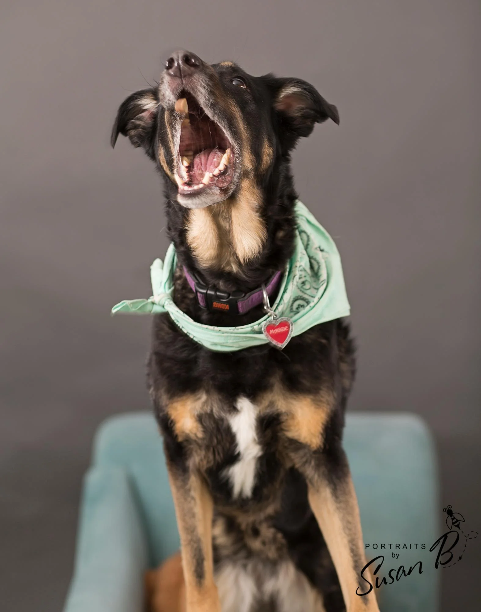 Dog-Friendly-Denver-Photo-Studio-For-Rent-Natural-Light-Portrait-Studio-Denver-Photography-Studio-RiNo-Photo-Studio-Denver-Photographer-Studio.jpg