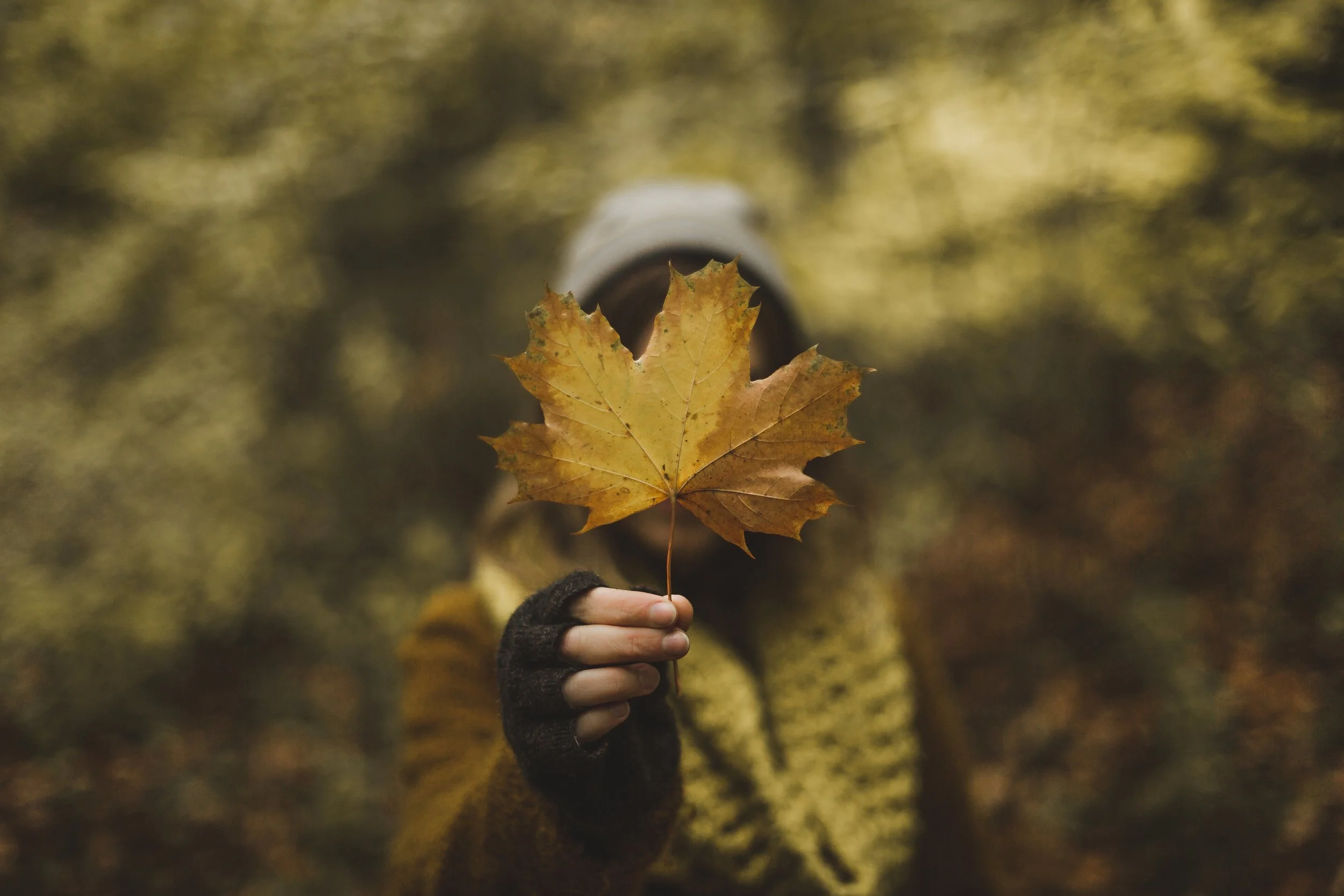 woman-holding-maple-leaf-in-fall_4460x4460.jpg