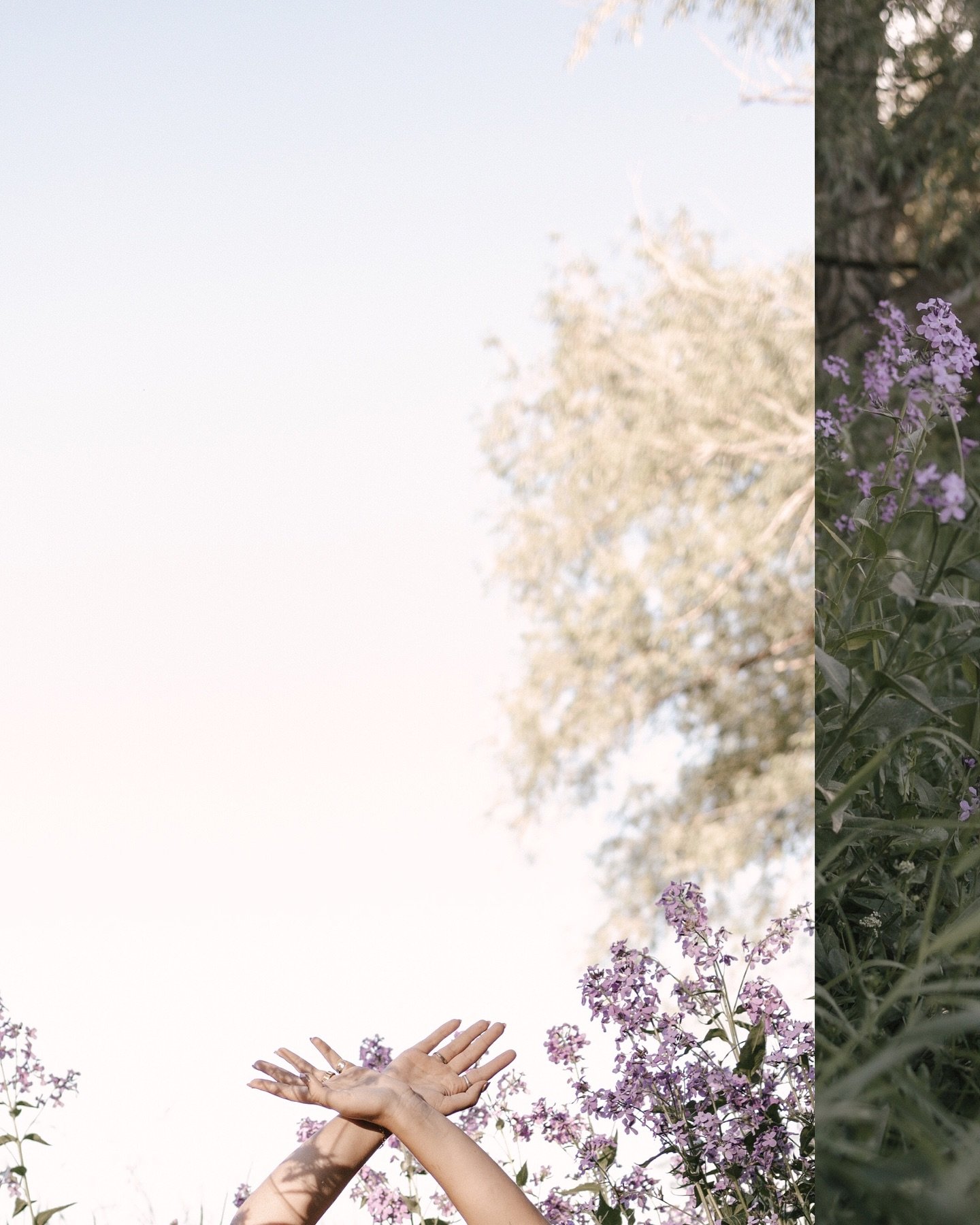 Meadows, wildflowers (+ rhubarb in the last photo) and the stunning @claairehorton🪻🤍

I bought my first fancy camera last Christmas and went on my first content shoot a couple weeks ago :)

I learned so much from the most amazing group of people:

