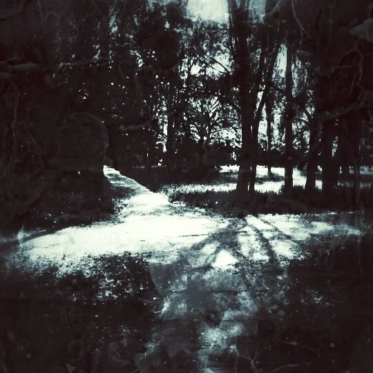 The Night Time of Year: A Numinous Journey