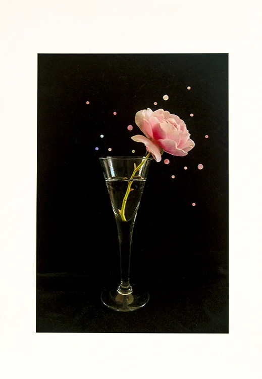 A Rose