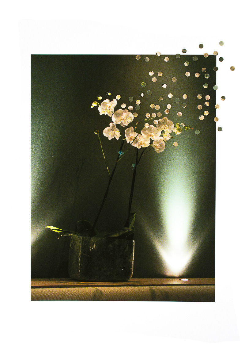 Night Orchids 3