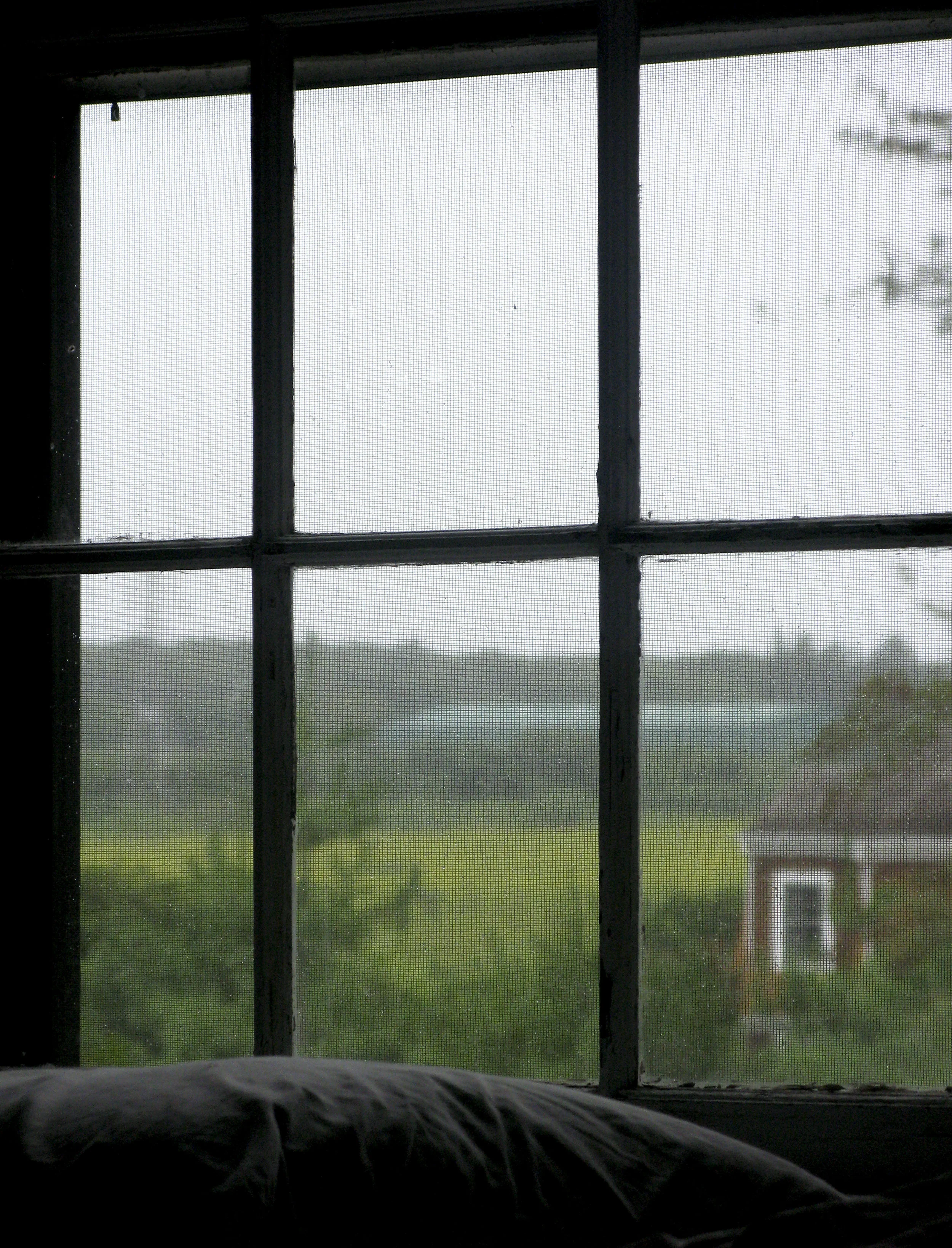 Window to the past