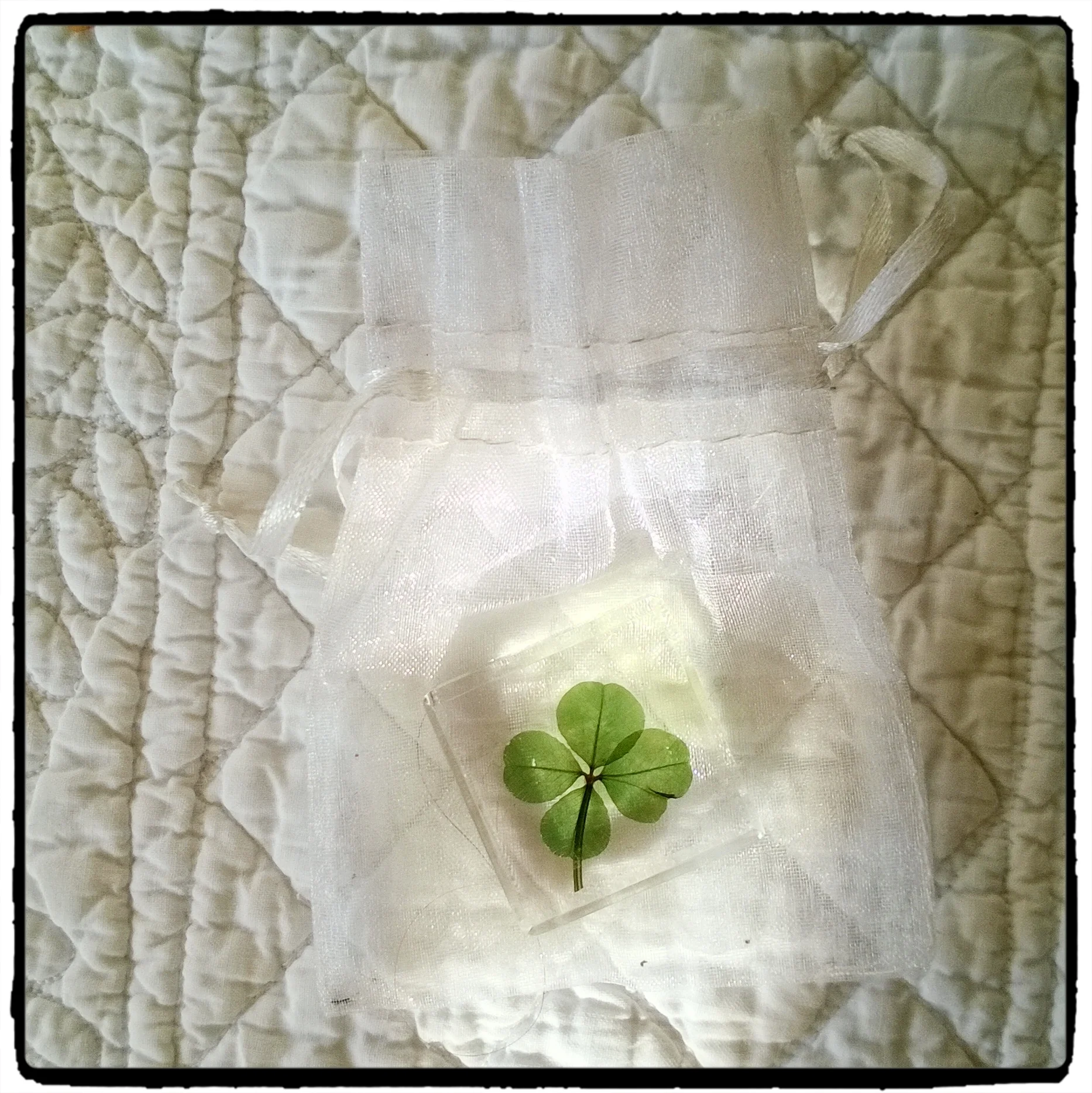 fotor_WP_20140317_004(2).jpg