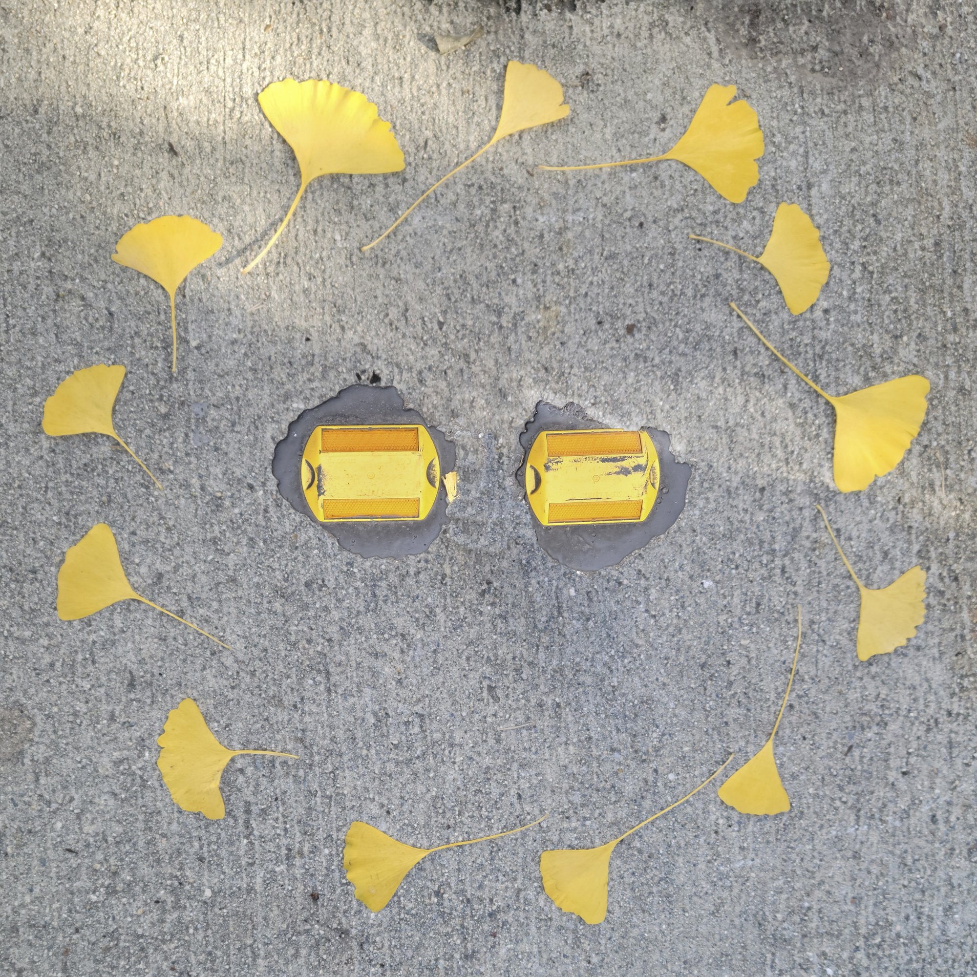 Gingko Circle