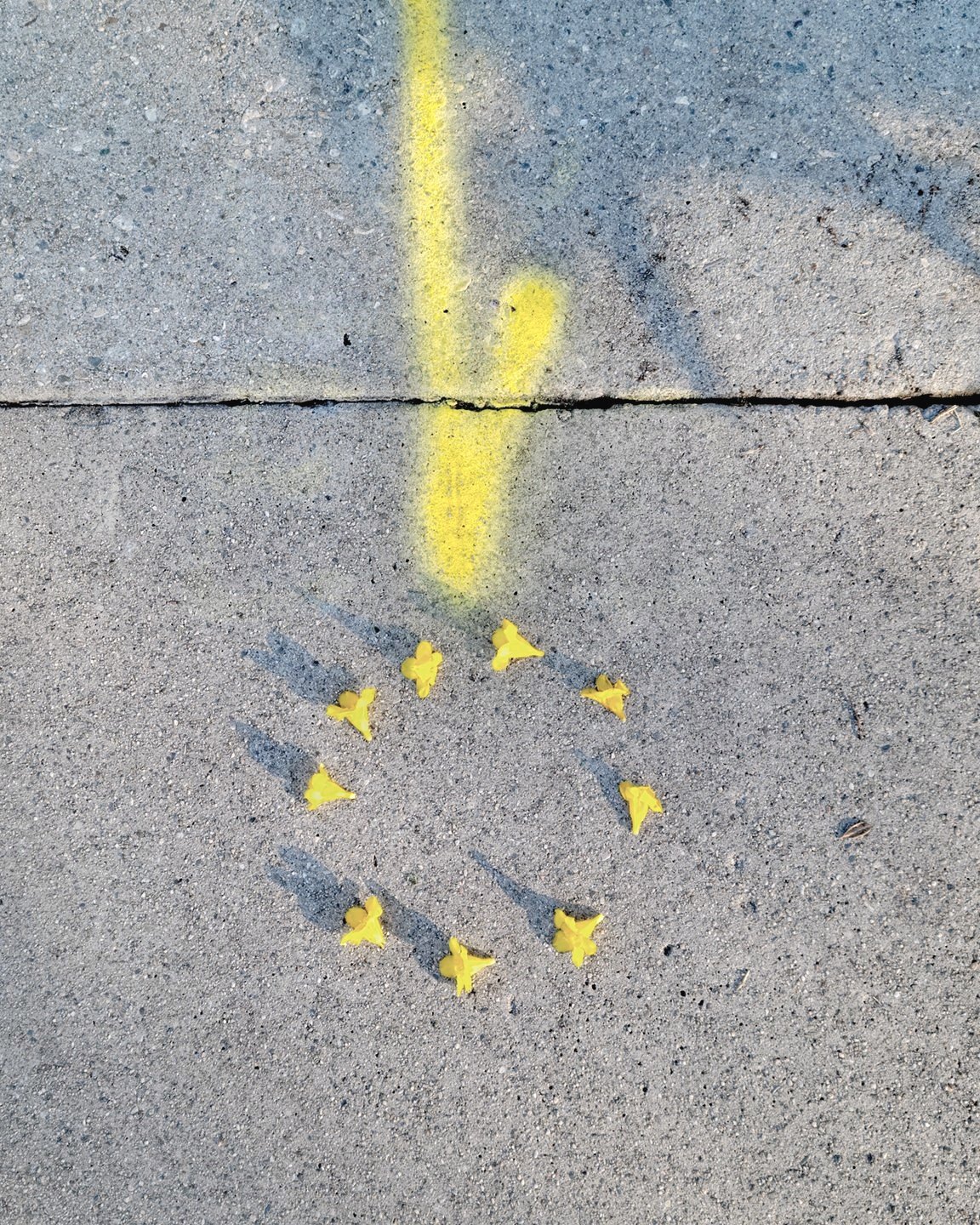 Yellow Circle #2