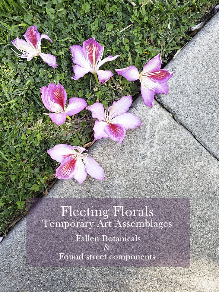 Fleeting floral website cover page copy.jpg