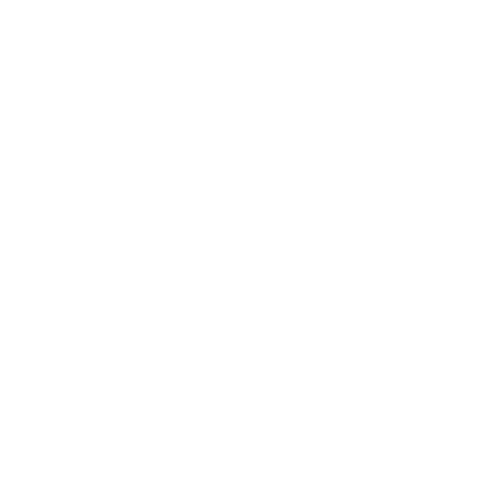 Muse_Icons_v02_Action White-1145.png