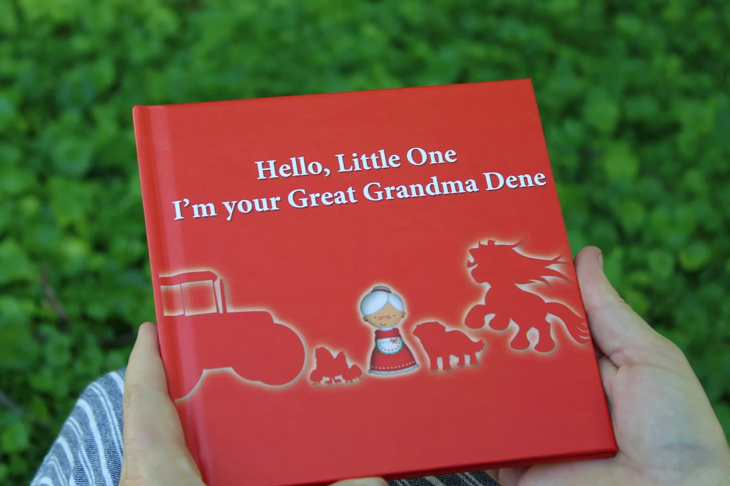 personalized child history book cover.jpg