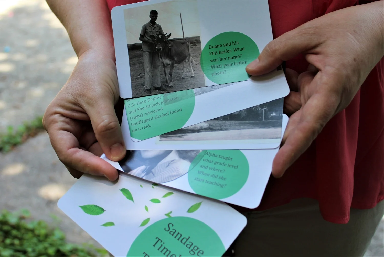 custom timeline triva card samples.jpg