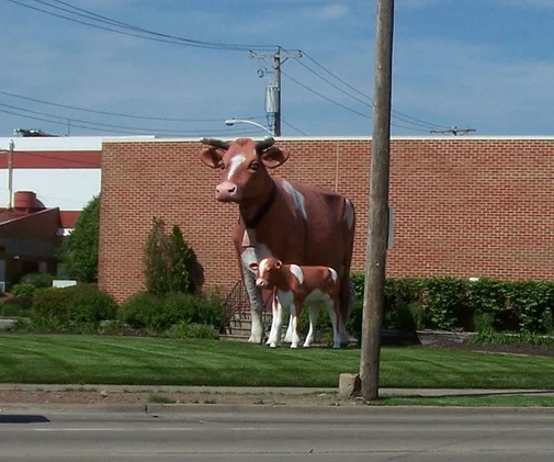 The Anderson Erickson Dairy Cows