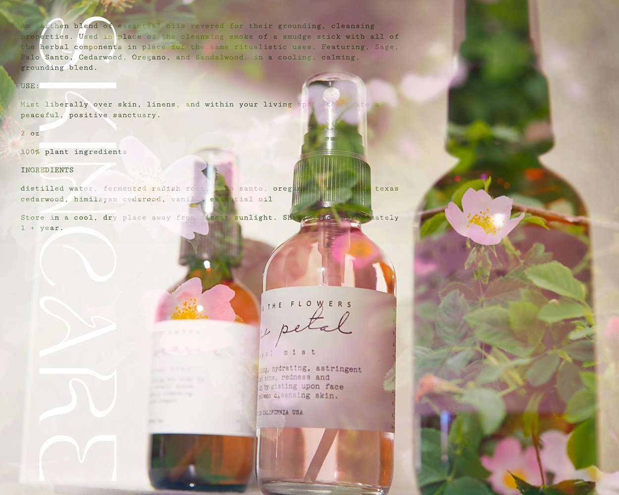 aura skincare graphic play with roses resized for web.jpg