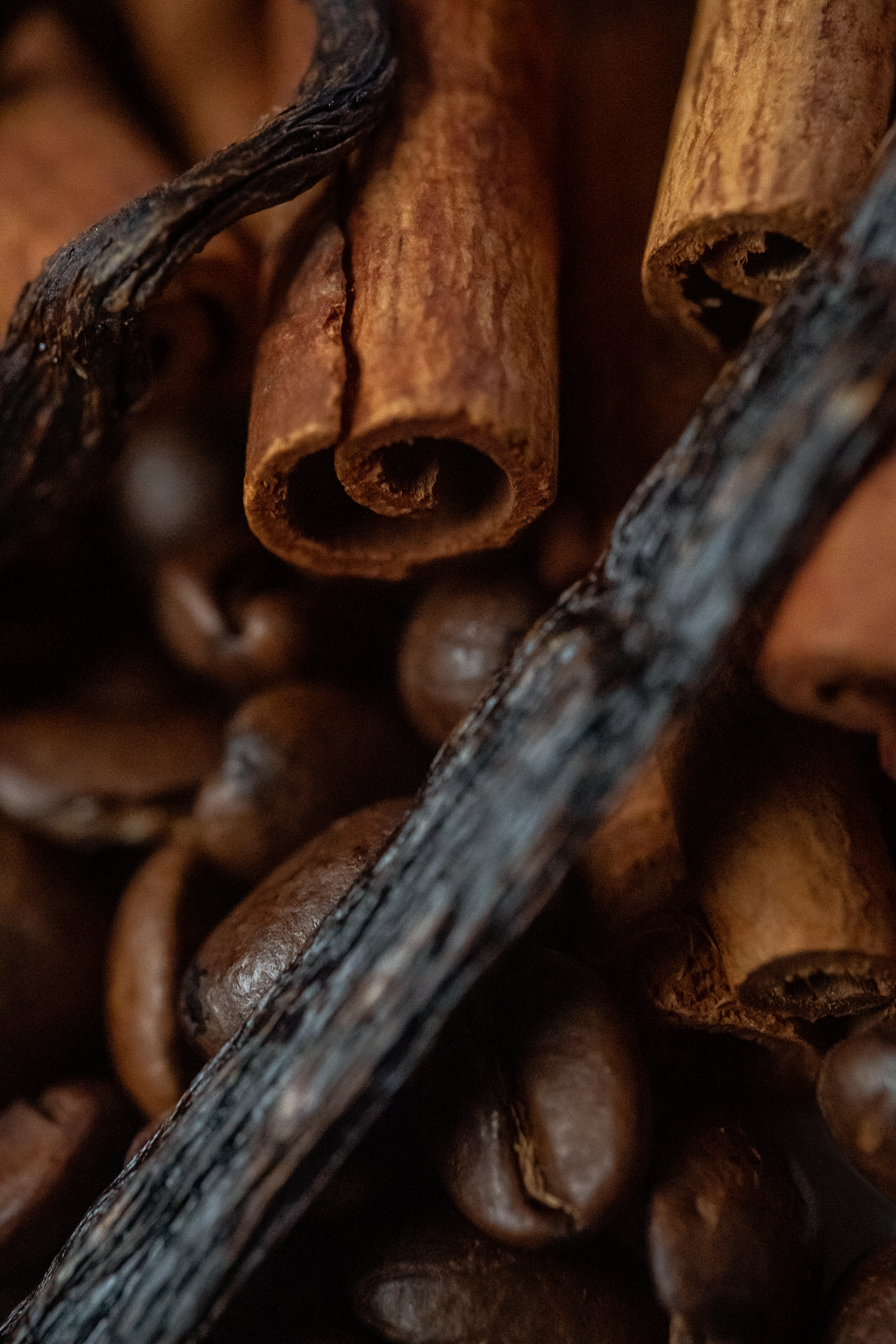 StarsandHoneyIngredientsMacro-cinnamon,vanilla,espressobeans.png