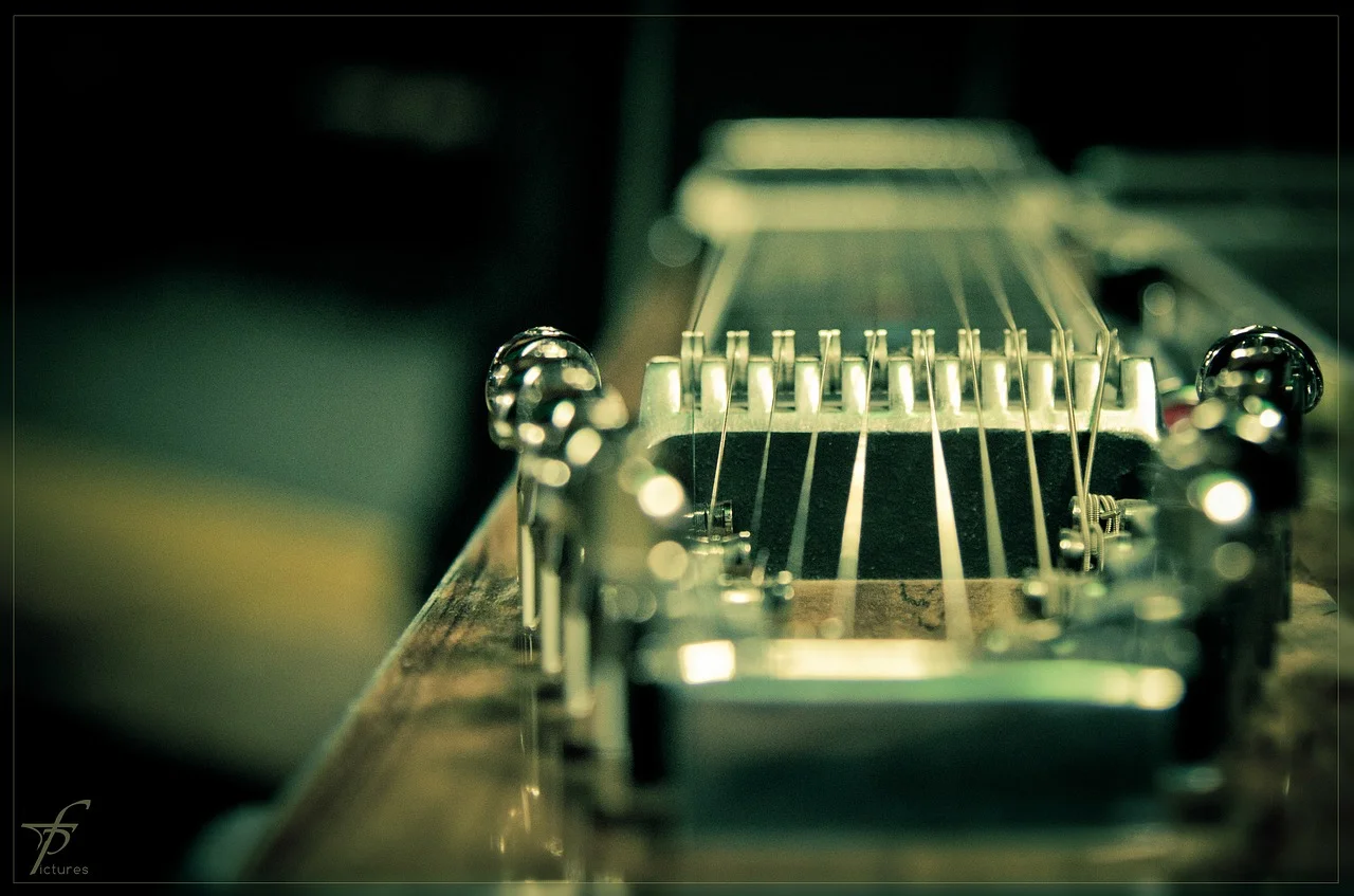 twenty-strings-288783_1280.jpg