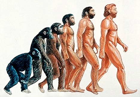 monkeyman.jpg