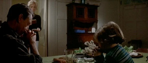 529 jaws-brody-and-son