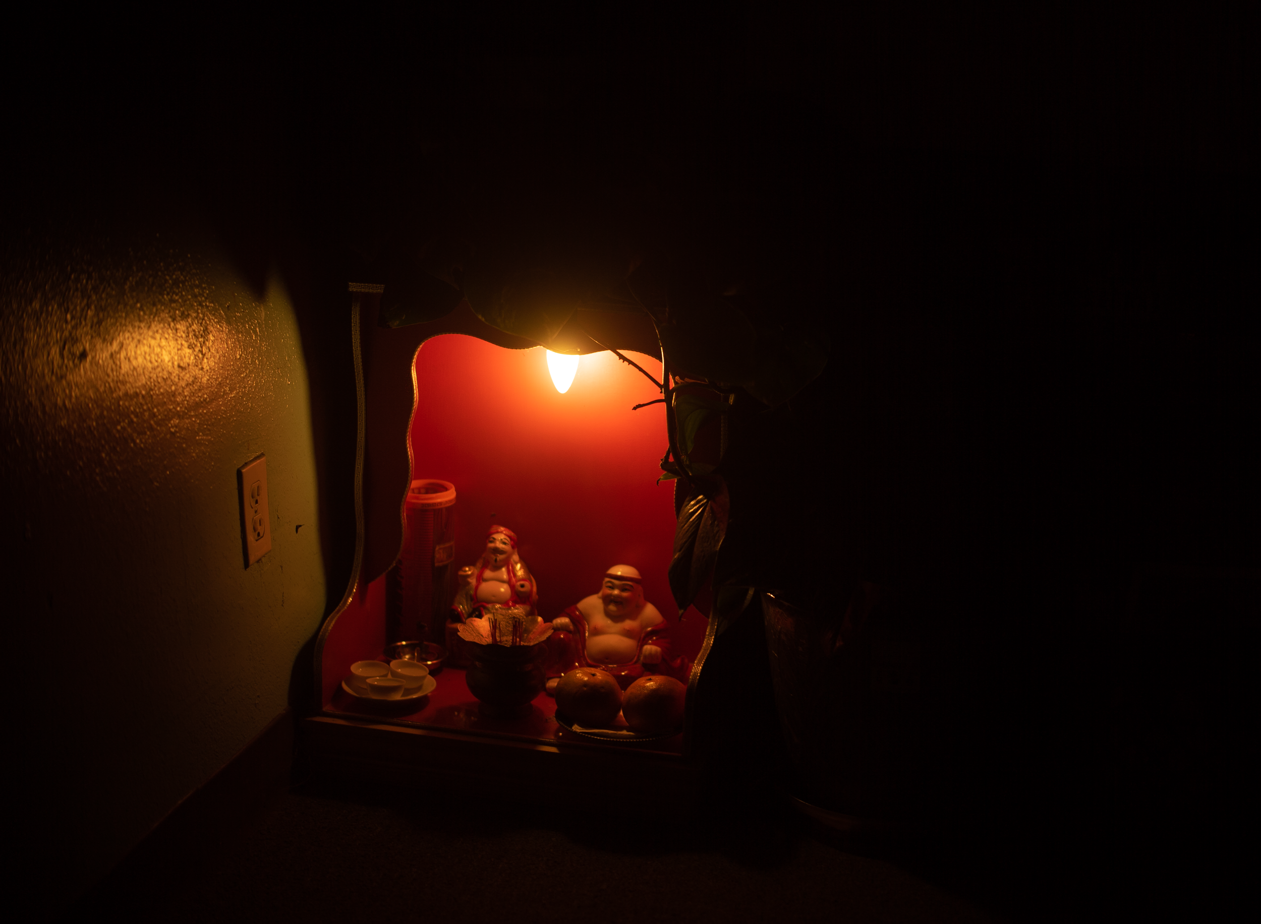 DSC03118.png