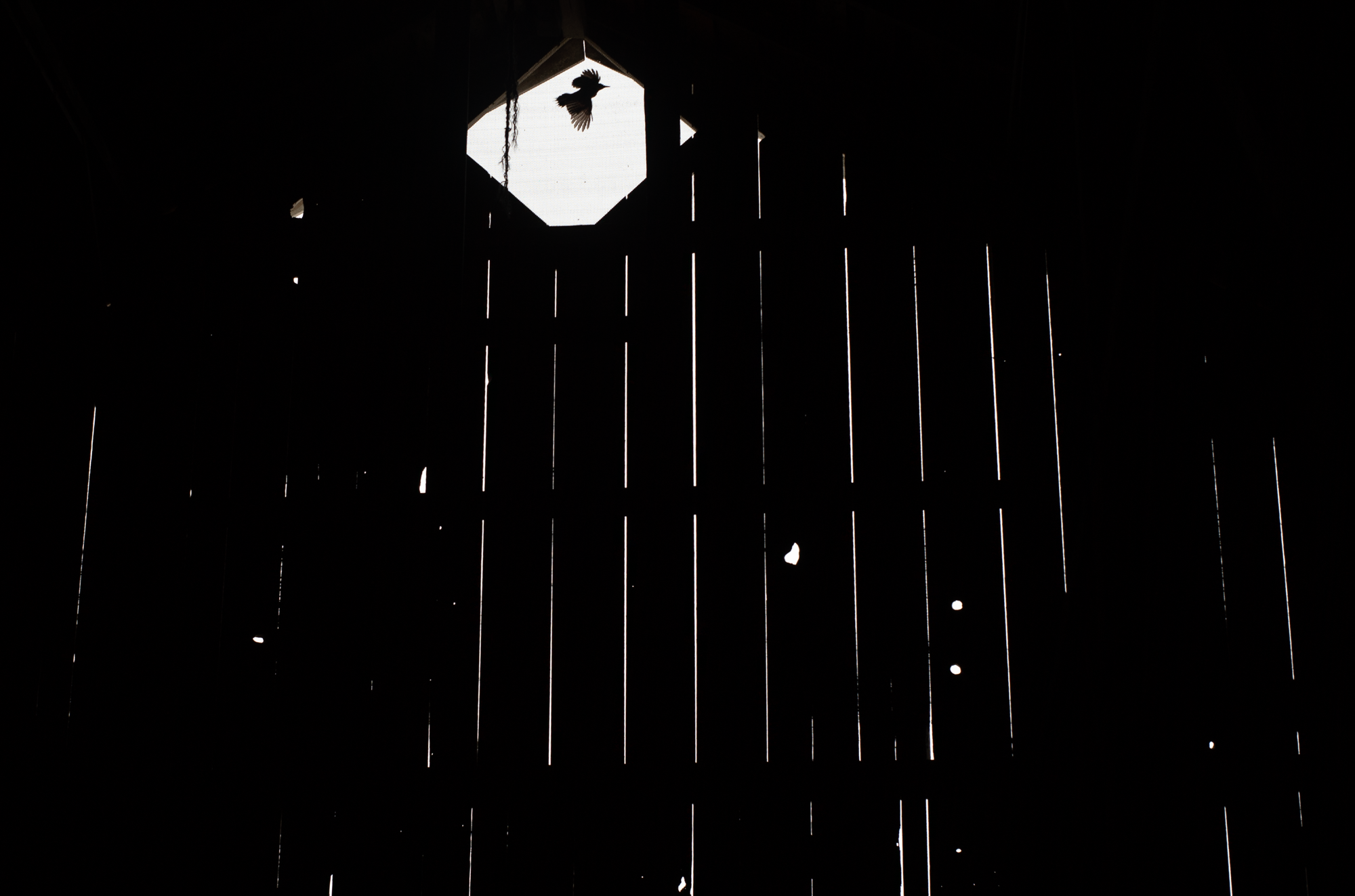 DSC01349.png