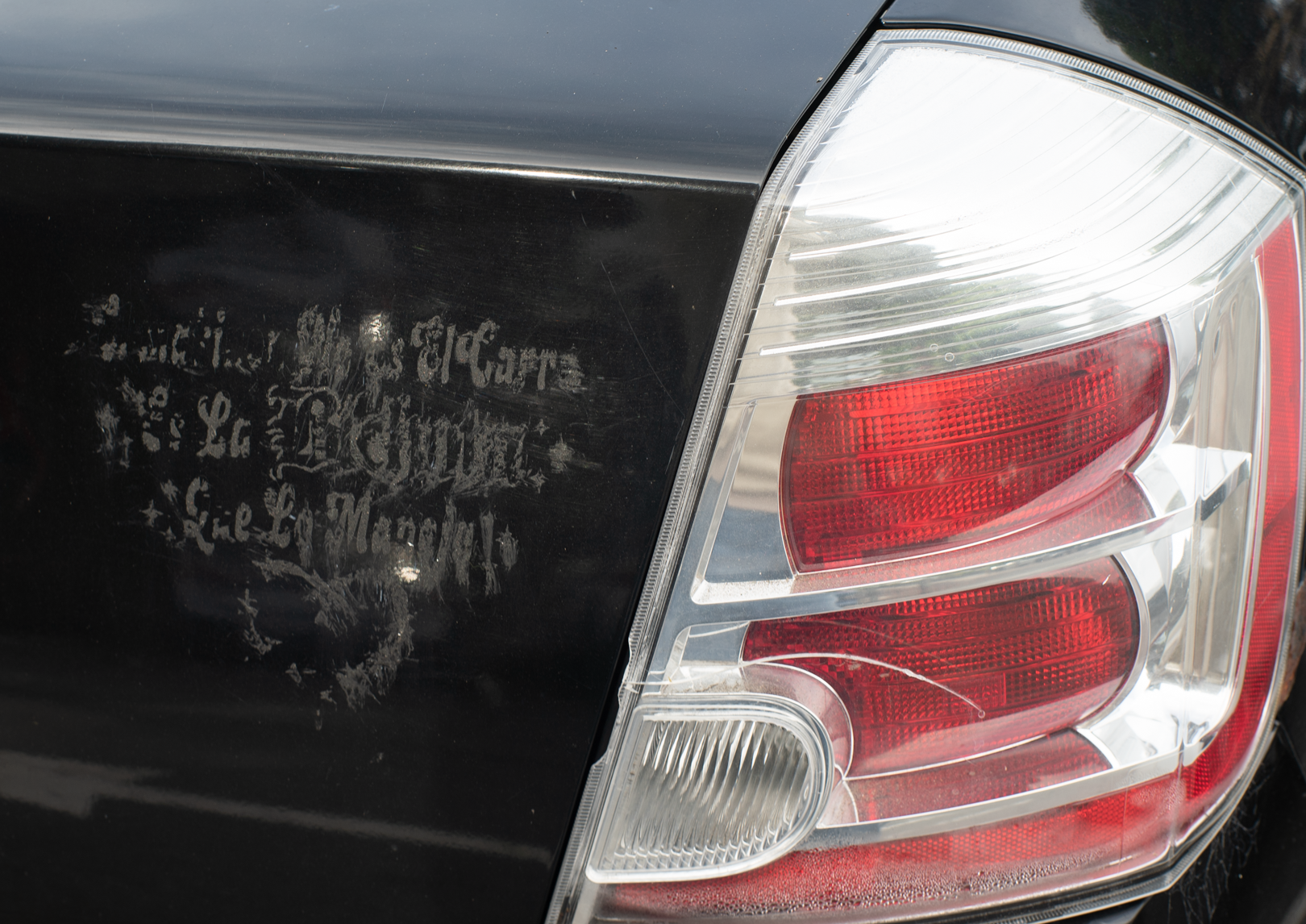 DSC03456.png