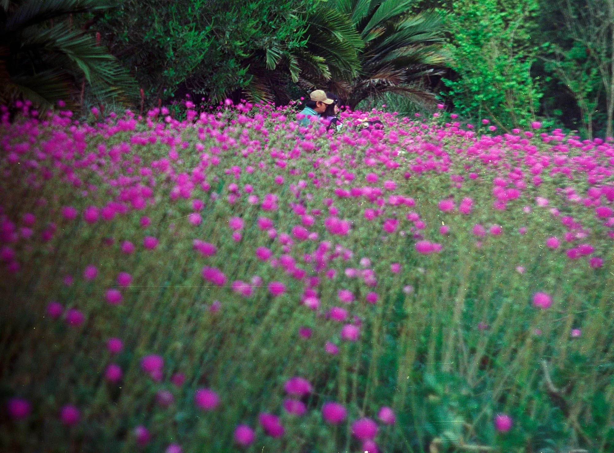 Untitled (59).jpg