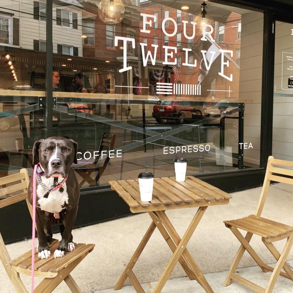 Socialization : A More In Depth Look