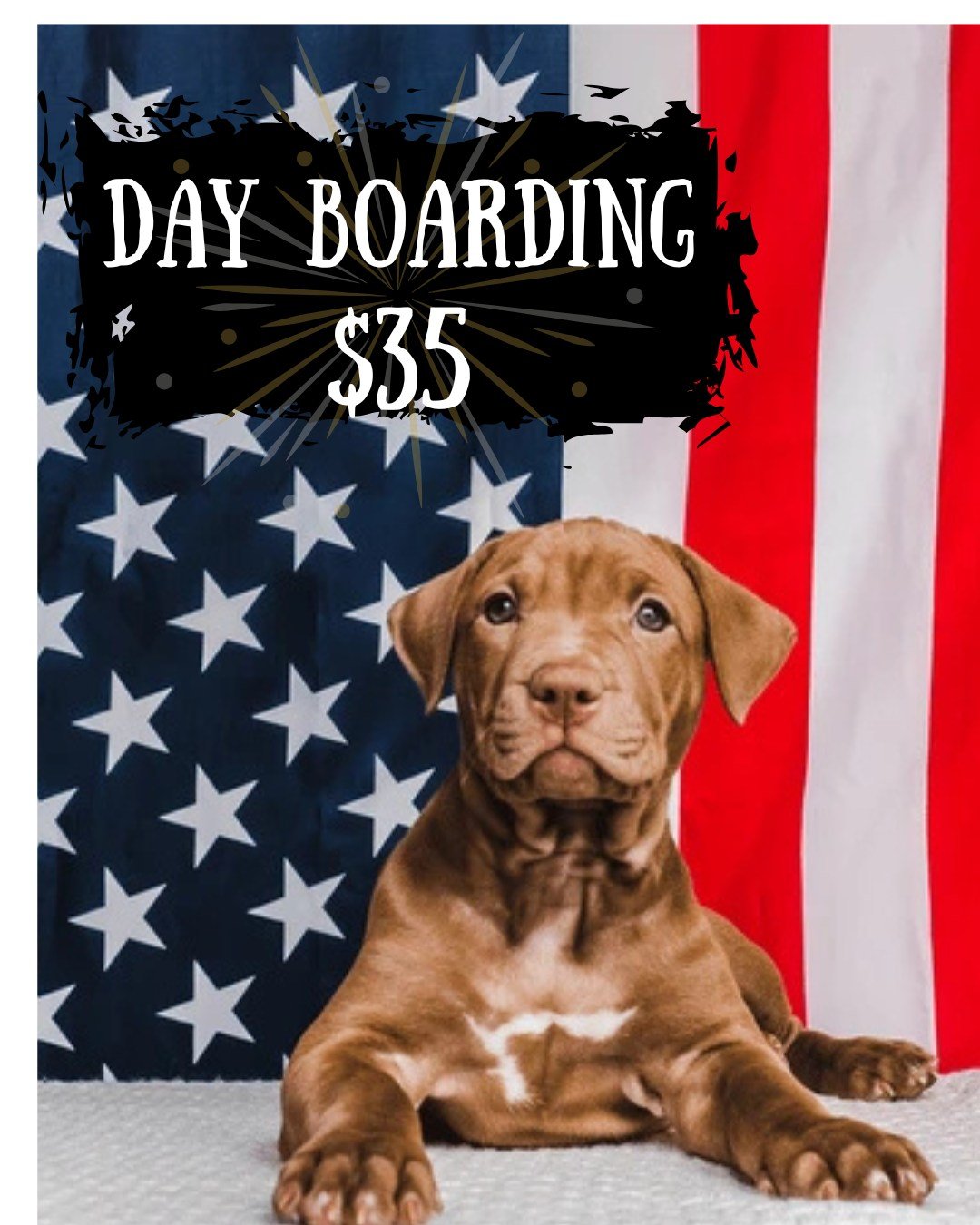 Looks like we're going to have a beautiful, sunny Memorial Day Weekend!
🎆Don't forget about Lead Your K9's Day Boarding option! Drop your pup off with us between 6:30 - 8:30 AM and pick them up later between 4:00 - 6:00 PM. They can hang out with u