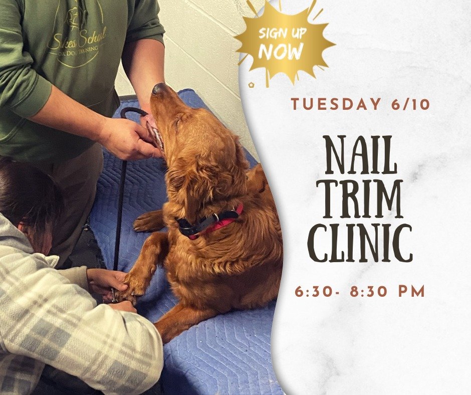 We have a few more spots open for our Nail Trimming Clinic next week!
Does your pup have anxiety surrounding nail trims? Or do they try to bite you? Is it a constant battle, taking so much time just to cut one nail? Not sure if you're even using the