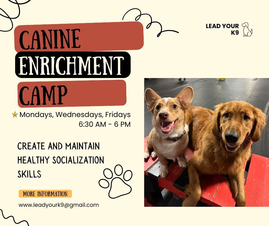 Happy Friday!
Is your dog struggling with their socialization skills?
Do they want to play and be friendly- but they just aren’t quite sure how to be polite? Or are they are shut off, anxious, or reactive- making it stressful to have them in a
