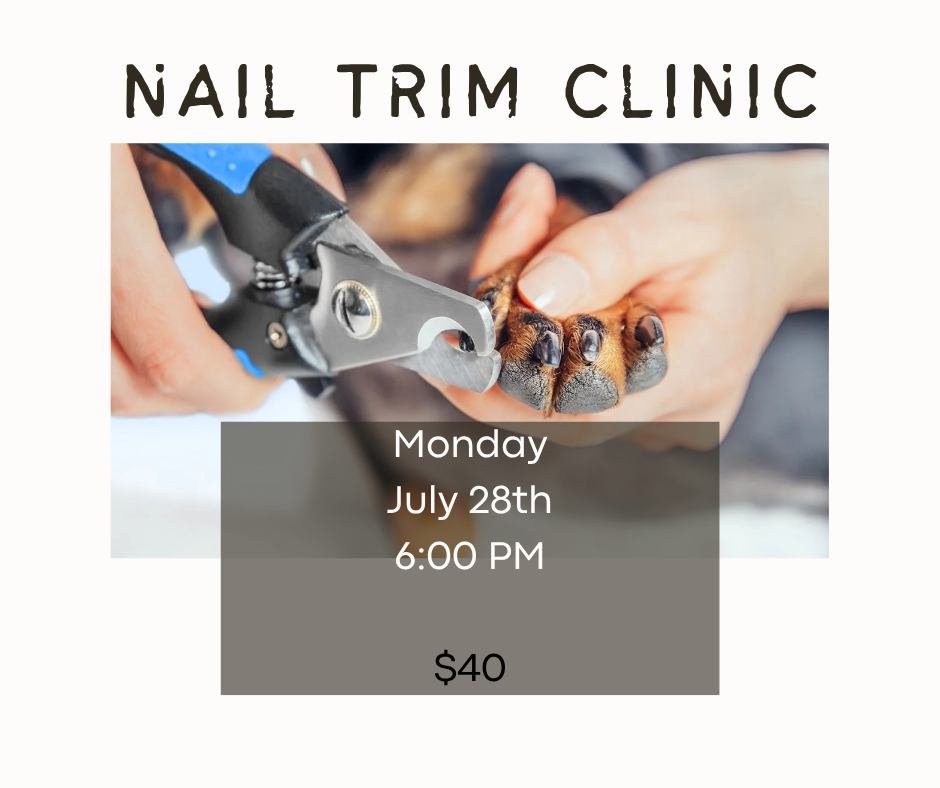 🐾Keep Those Nails Healthy & Happy!🐾
Trimming your dog’s nails isn’t just for looks—it’s essential for their comfort, mobility, and overall health.
Overgrown nails can press painfully into the paw, alter your dog’