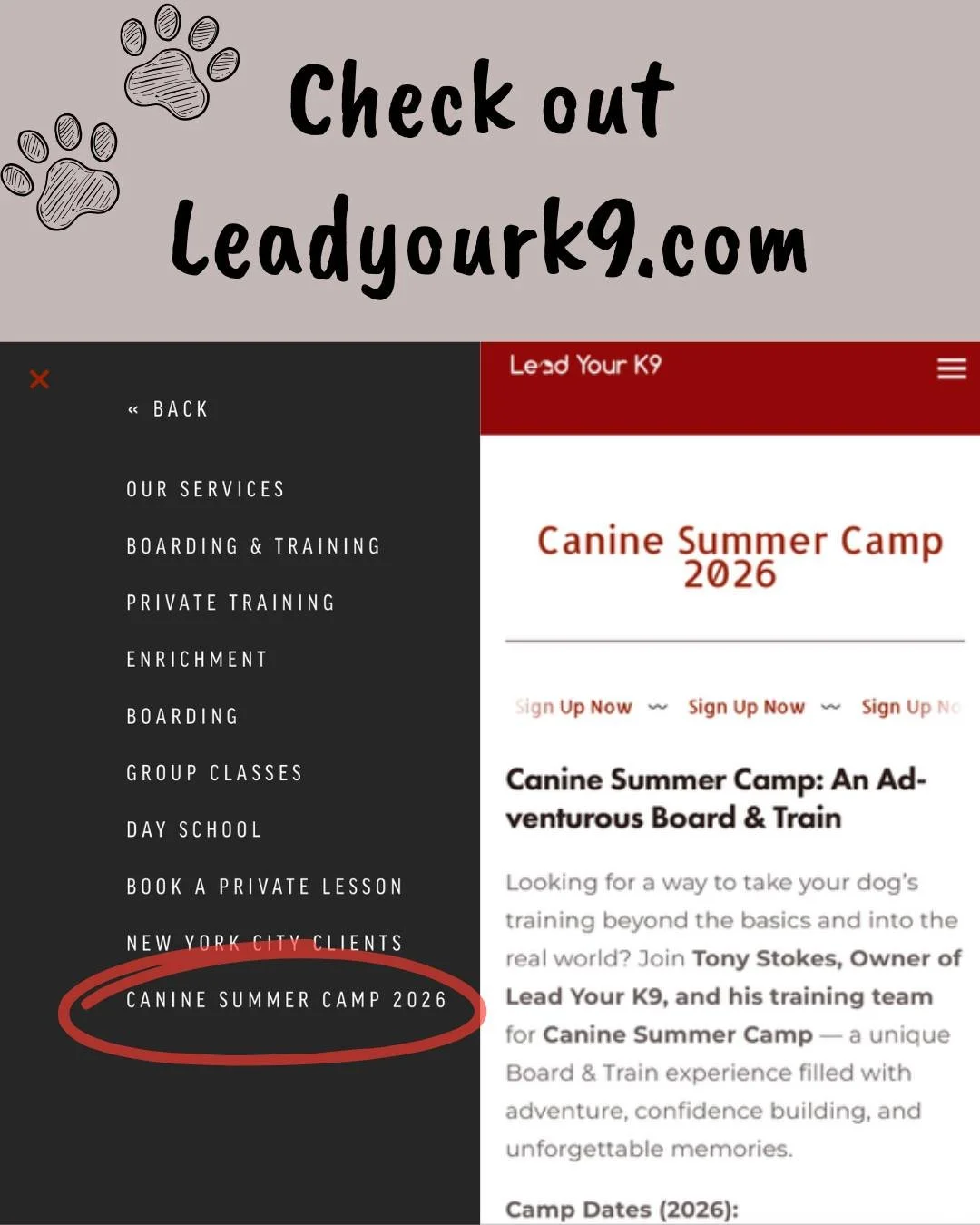🐾🌲 Canine Summer Camp 2026 &ndash; Registration is OPEN! 🌲🐾

Our Canine Summer Camp was a HUGE hit this year &mdash; so much so that we&rsquo;ve added an extra June date for 2026! 🎉

Give your pup the adventure of a lifetime with Lead Your K9&rs