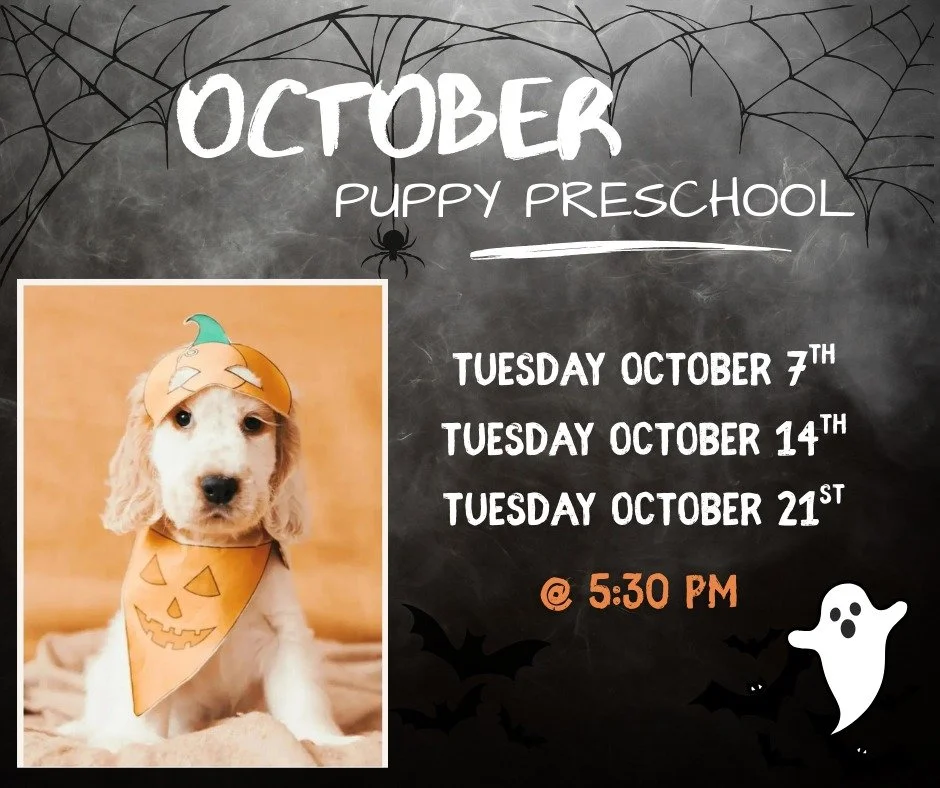 Don&rsquo;t forget to sign up for our October Puppy Preschool Class! It starts Tuesday, 10/7 @ 5:30 pm 👻🎃

This 3 week group class is all about how to successfully raise your new puppy. We cover EVERYTHING puppy! We focus on building engagement by 