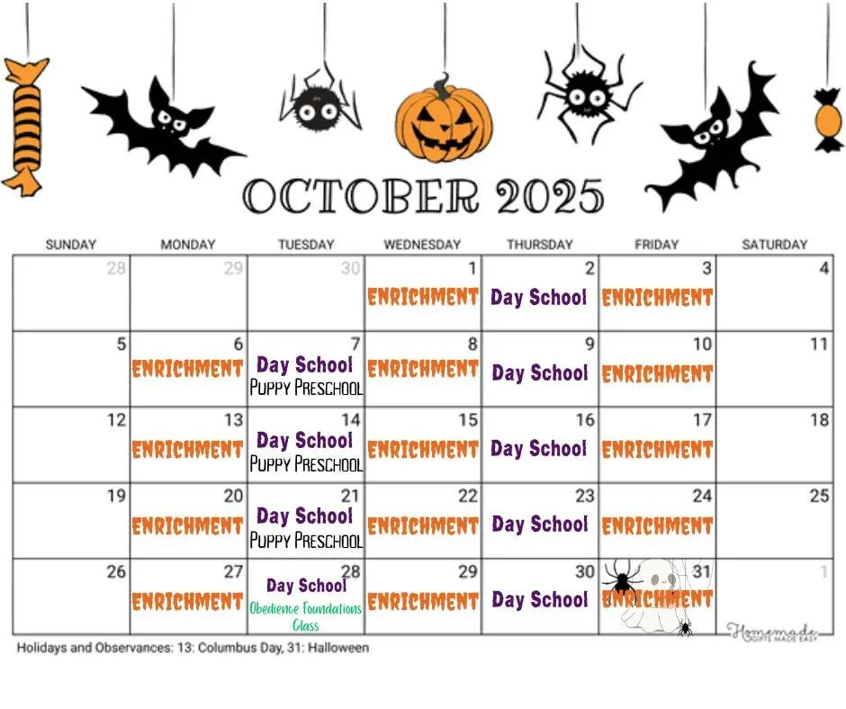 Can you believe it's October already!? 

➡There's still time to sign up for Puppy Preschool starting October 7th

➡ Our next Obedience Foundations Class starts October 28th