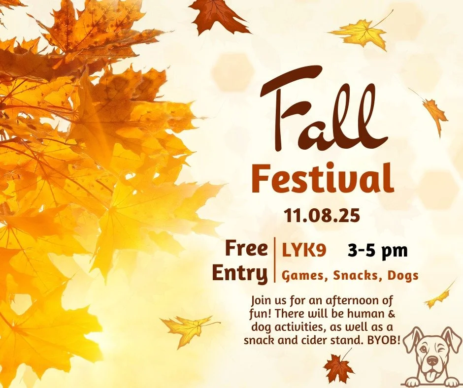 Come join us at Lead Your K9 for our Fall Festival on Saturday, November 8th from 3 - 5 pm. FREE for everyone! 🍁🐕
There will be games for both humans and dogs, light snacks and refreshments, and good conversation. It is sure to be a good time for