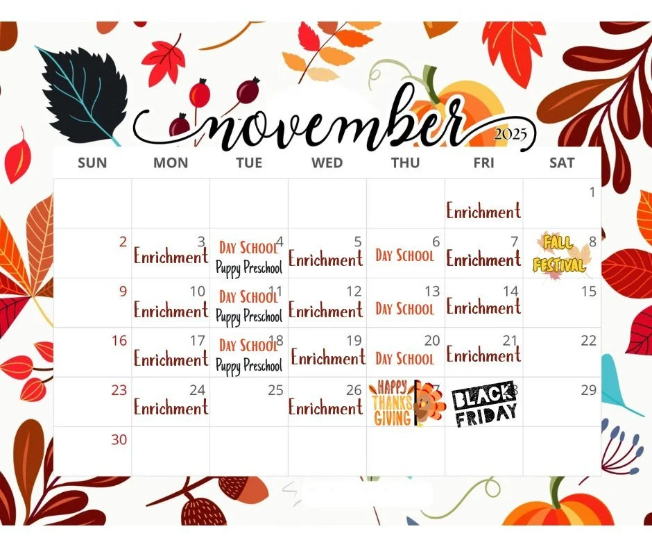 It's NOVEMBER!? 🦃🍁🐕 

➡ Don't forget to join us at our Fall Festival on Saturday, 11/8 from 3 - 5 pm. FREE for everyone!
➡ Puppy Preschool starts Tuesday, 11/4 at 5:30 pm- there's still time to sign up
➡ NO DAY SCHOOL Tuesday/Thursday the last wee