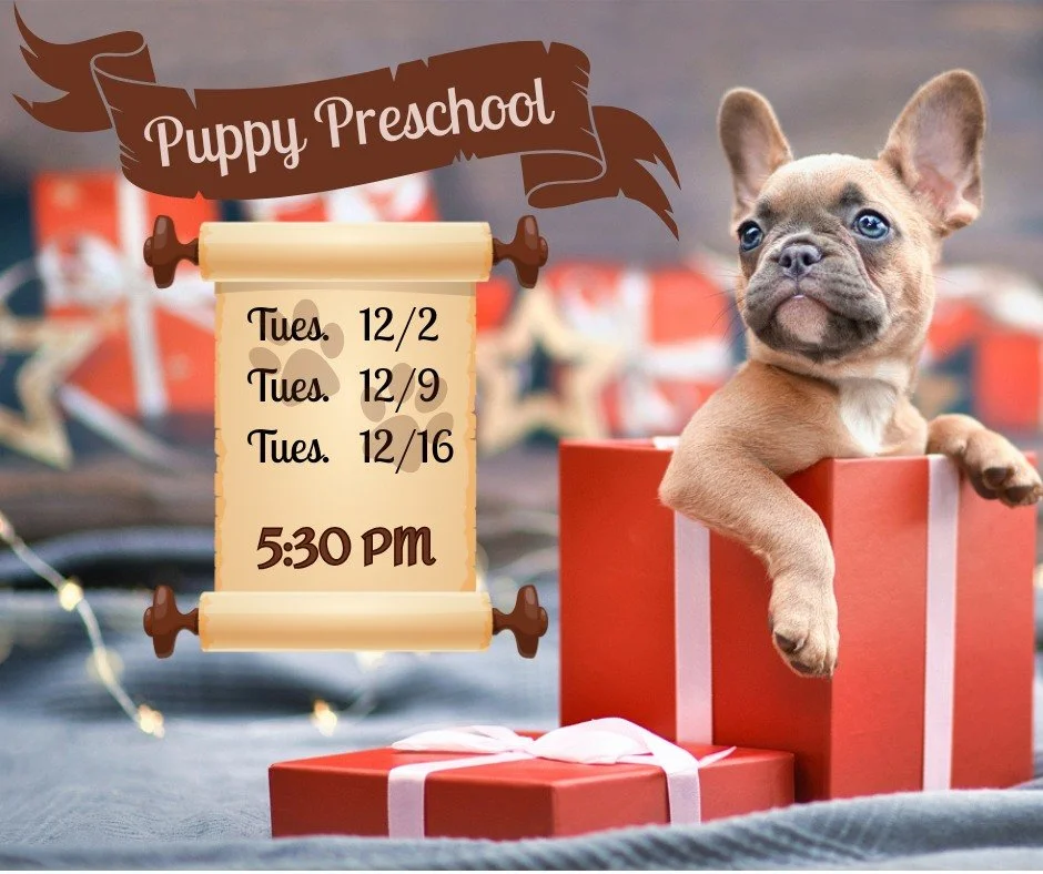 Got a new puppy? Don't forget to sign up for our December Puppy Preschool Class! It starts Tuesday, 12/2 @ 5:30 pm ❄️⛄

This 3 week group class is all about how to successfully raise your new puppy. We cover EVERYTHING puppy! We focus on building eng