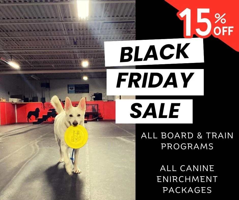 🐾🖤 BLACK FRIDAY DEAL 🖤🐾

For Black Friday only, enjoy 15% OFF all: 
✨ Board &amp; Train Programs
✨ Canine Enrichment Camp Packages

The perfect chance to level up your dog&rsquo;s training or socialization skills!

Give your pup the gift of growt