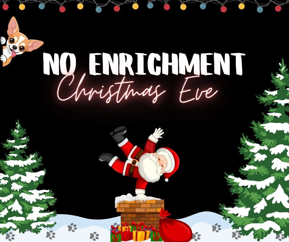 Hi friends! We will NOT be running Canine Enrichment Camp on Christmas Eve this year, but we WILL be running it on New Year's Eve 🐾🎉❄🎅🐕