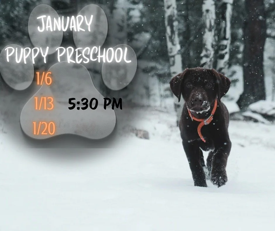 With Christmas next week, we know there might be a lot of puppies under the tree! If you're blessed with a new addition to your family this Christmas, don't forget to sign up for our January Puppy Preschool Class! It starts Tuesday, 1/6 @ 5:30 pm ❄️⛄