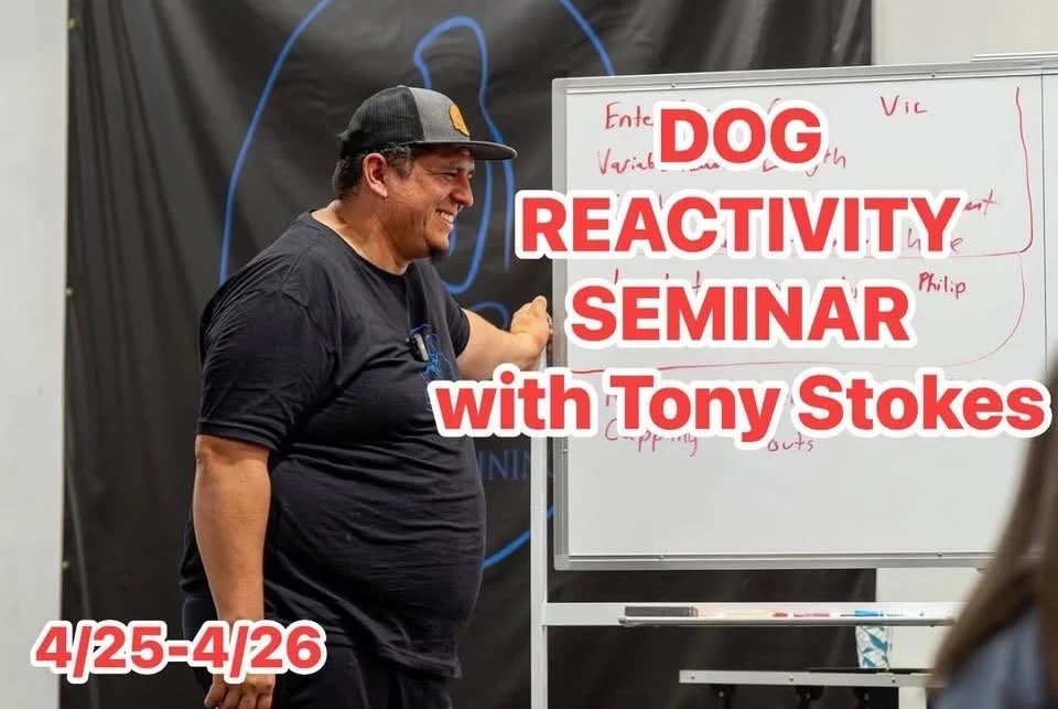 Come out for two days all about dog reactivity! 

Reactivity can be a challenging behavior to work through, manage, or potentially solve. This seminar will target the Why? How? When? &amp; What? around reactivity to all sorts of triggers. 

This semi