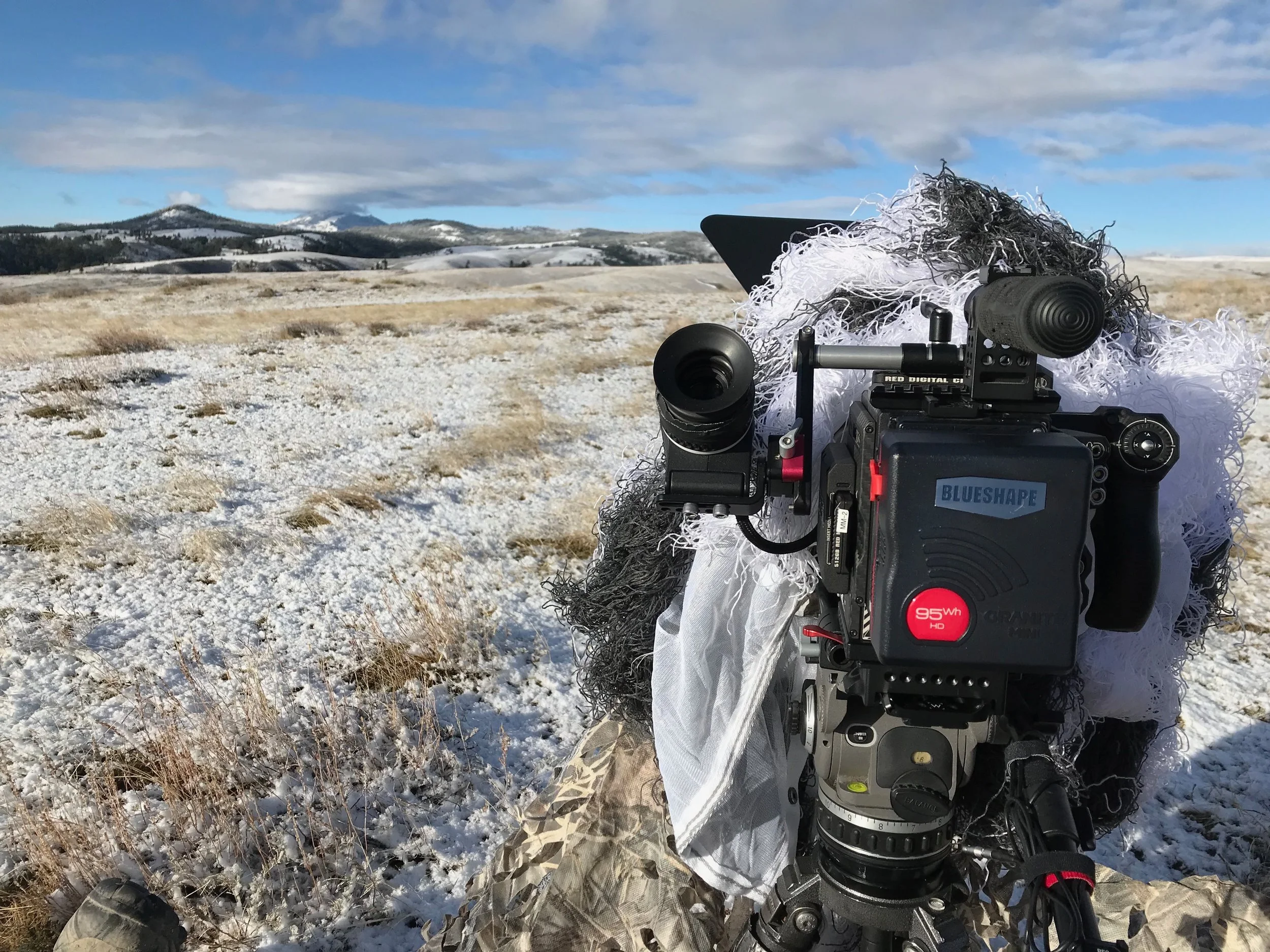 Wyoming - Day 3 - Sage and Sharptail Grouse