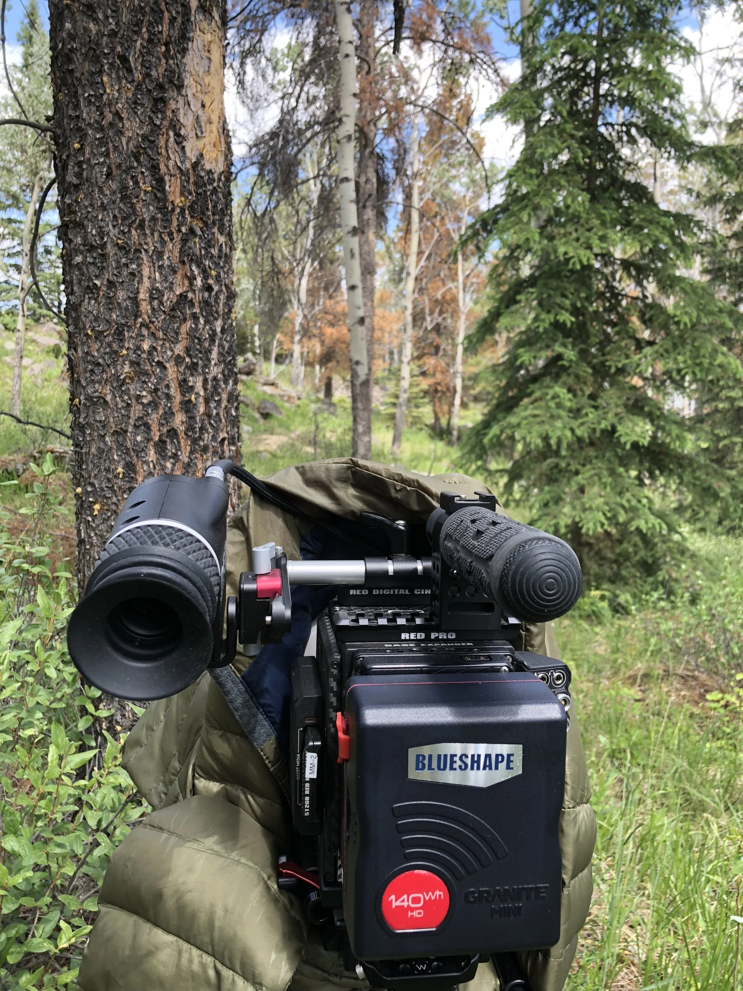 Day 4 - Canadian Rockies