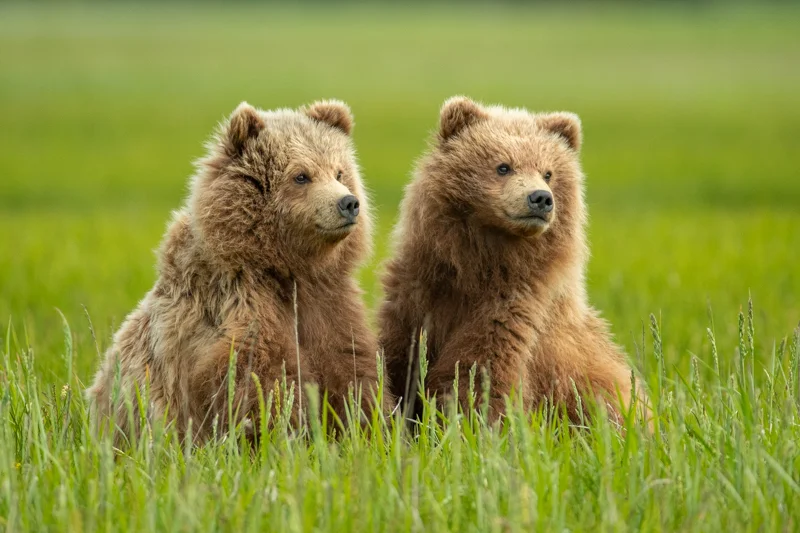 Lake Clark NP, Alaska Photo Expedition