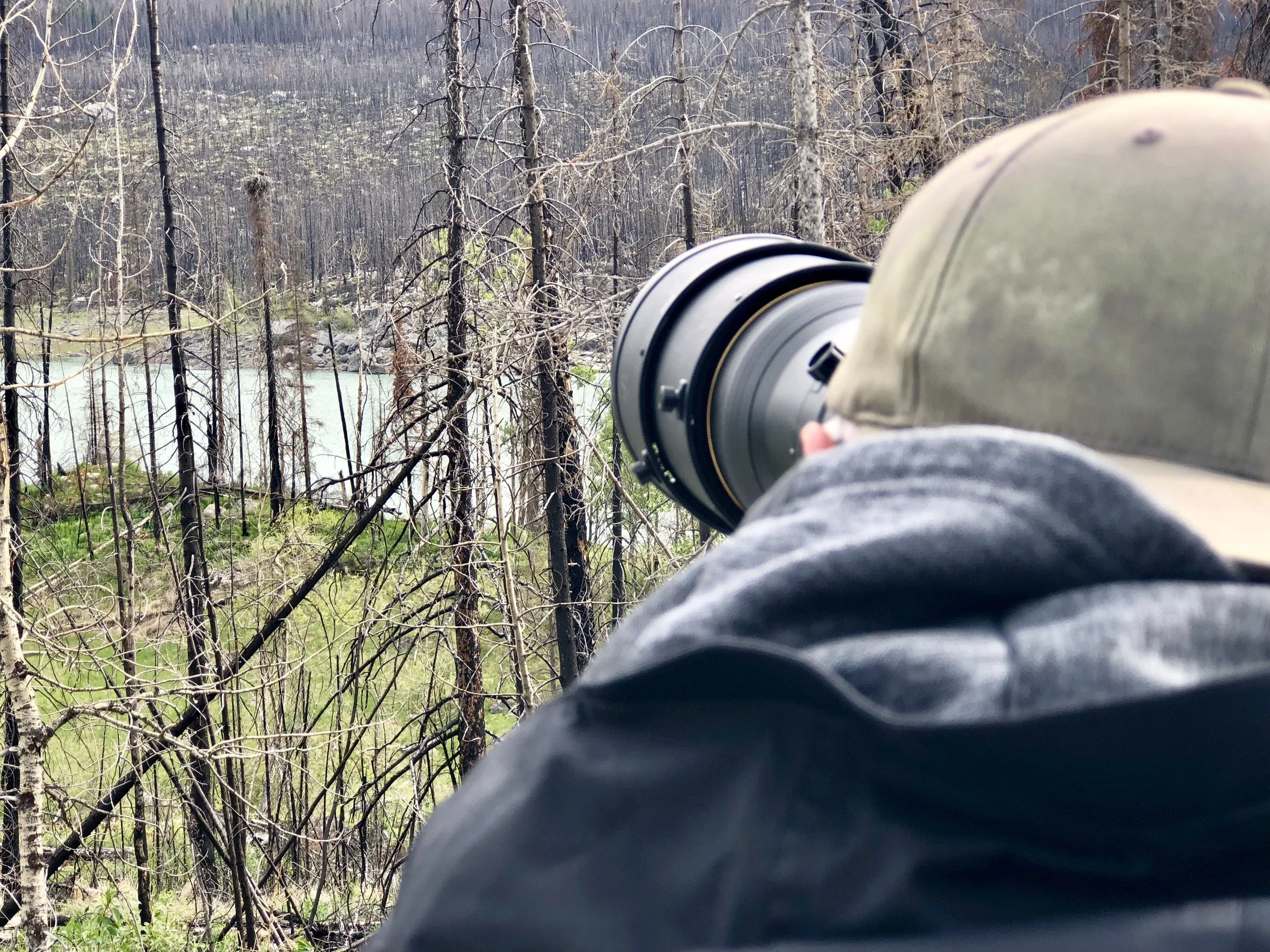 RON PHOTOGRAPHING EAGLE NEST.jpg