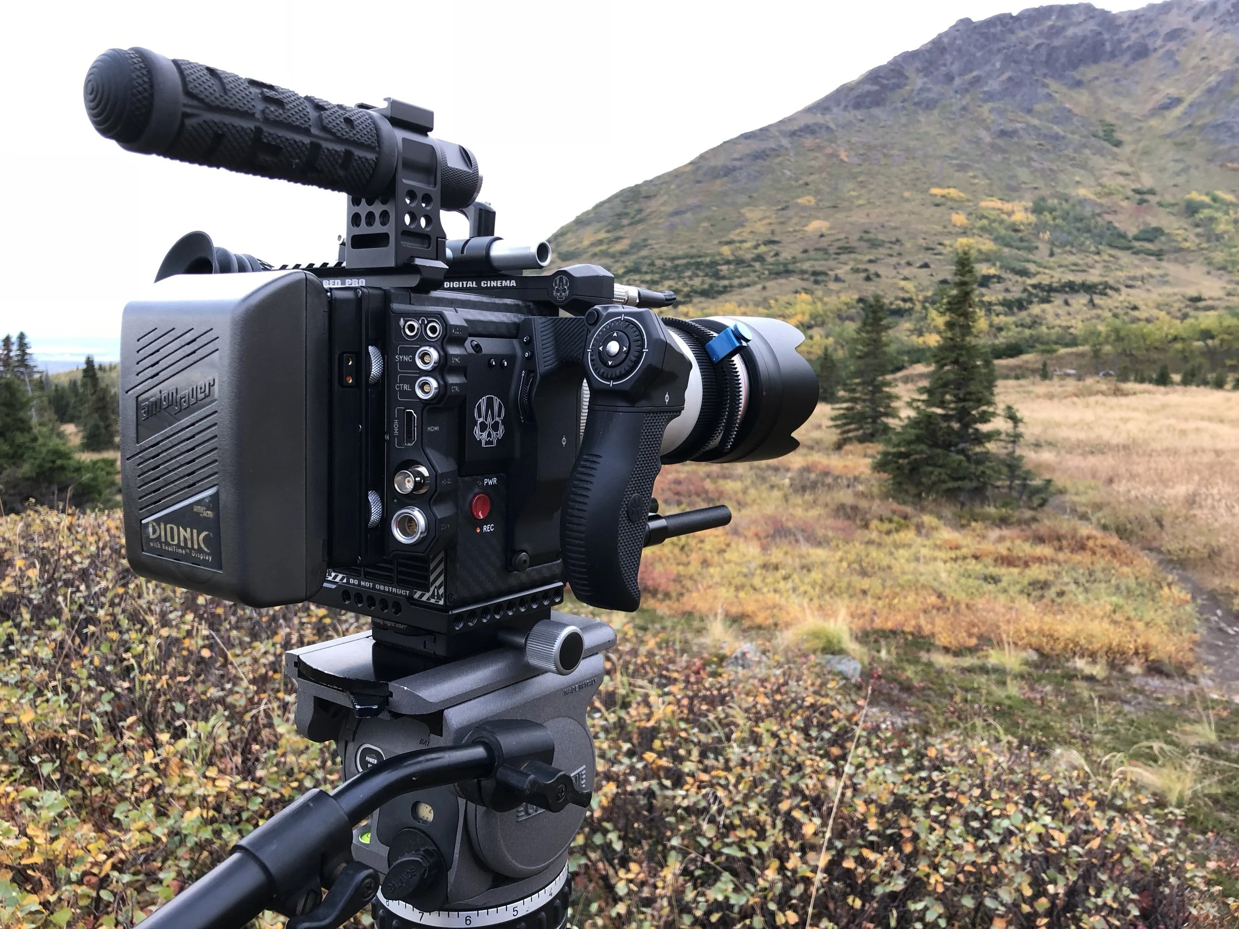 Dive Deeper Into Wildlife Video