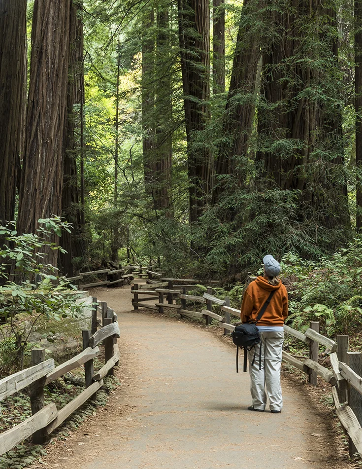 Muir Woods: This shot is a self portrait of me walking through the giant redwoods that make up the small preserved forest, Muir Woods National Monument. It was unbelievable to look up at those towering trees.