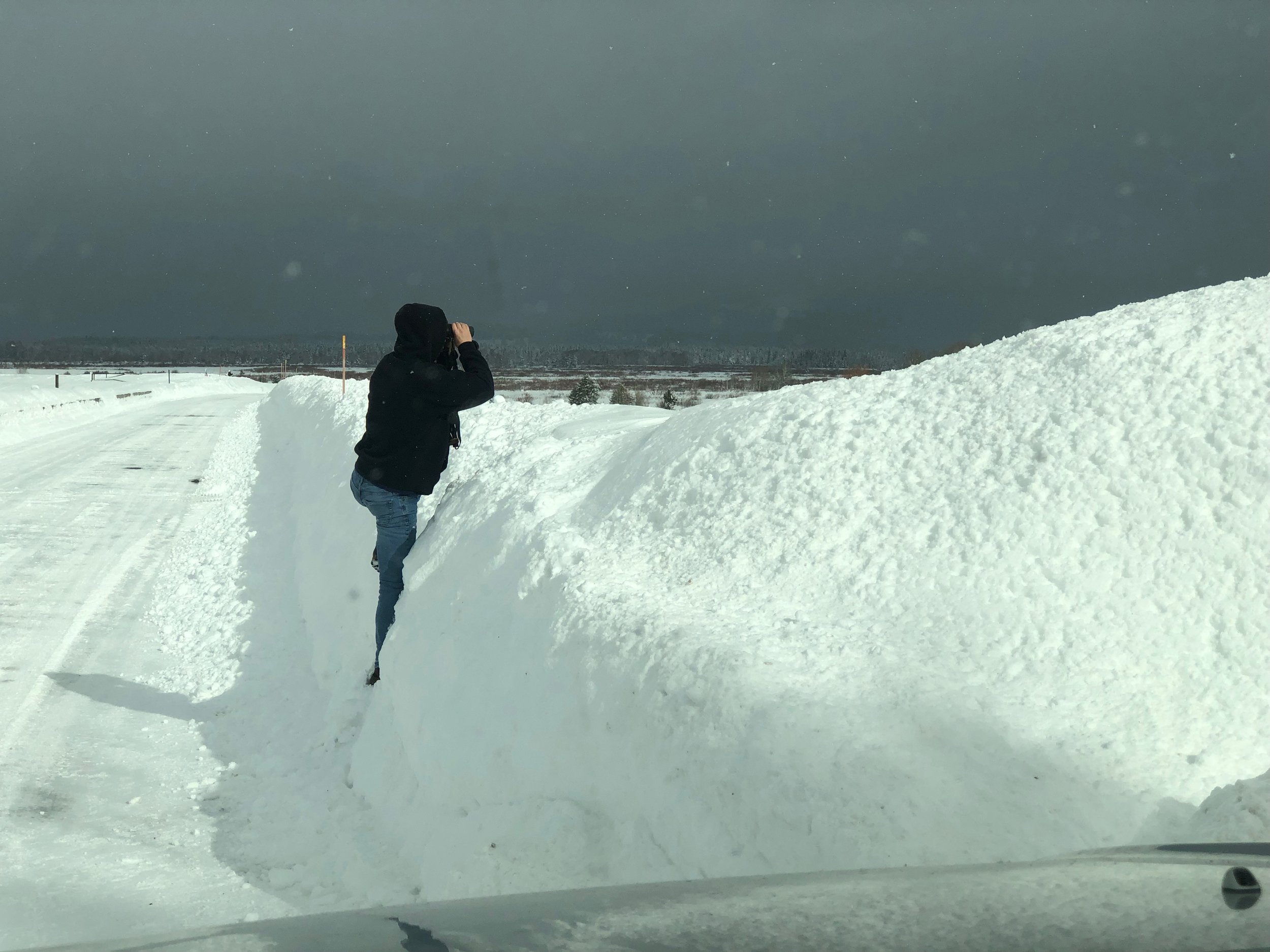 Ron's wing man, "Heath" scouting over snow bank.