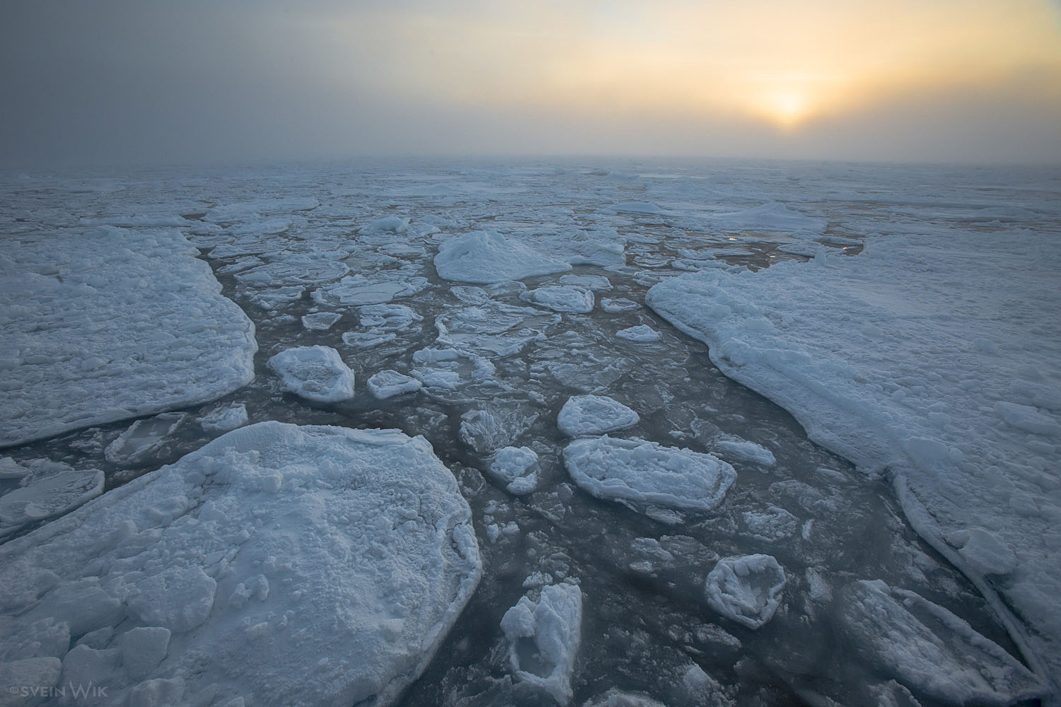 Drifting ice landscapes.jpg