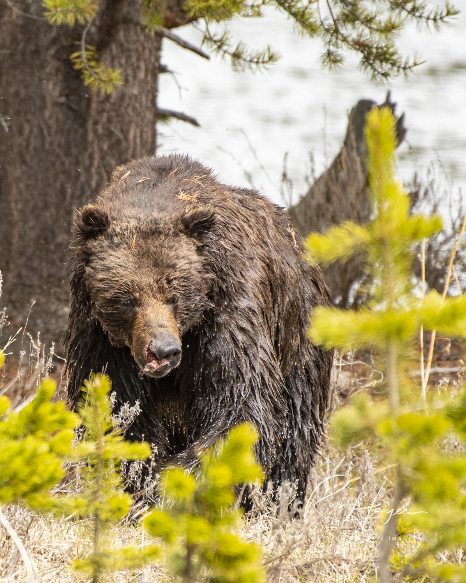 _DSC4787.jpg