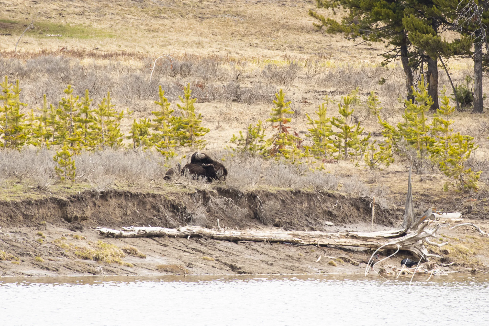 _DSC4505.jpg